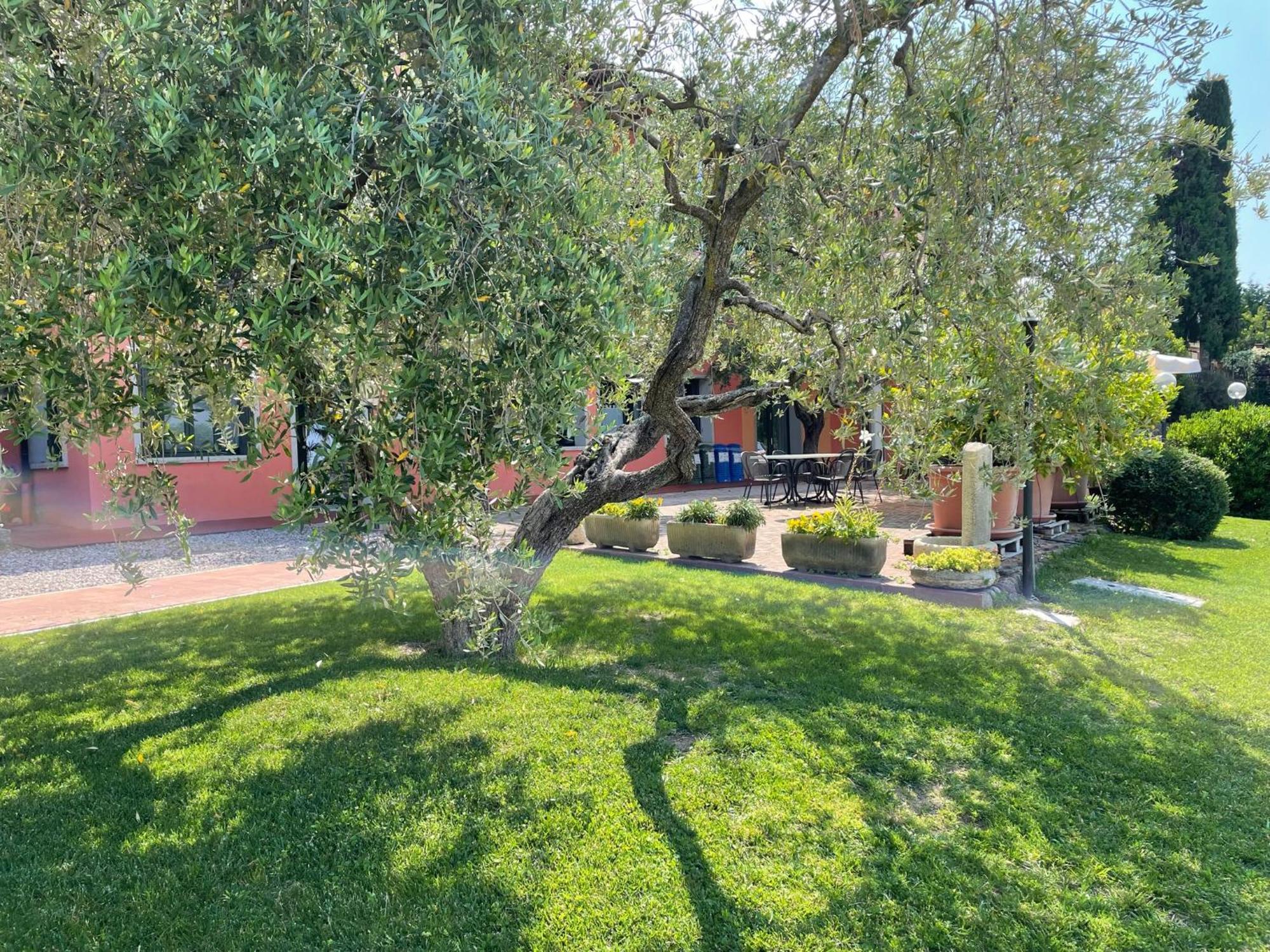 Al Colle Villa Cavaion Veronese Dış mekan fotoğraf