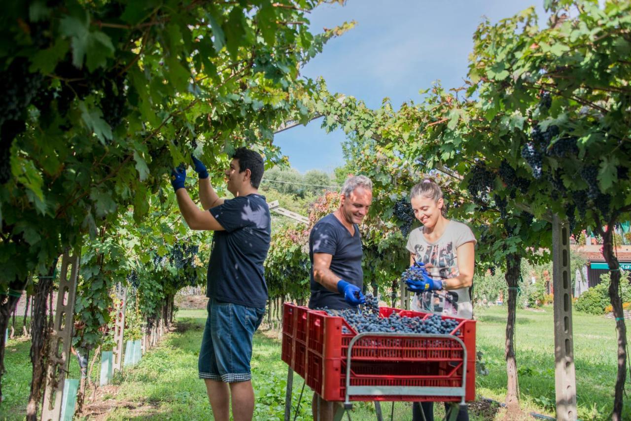 Al Colle Villa Cavaion Veronese Dış mekan fotoğraf